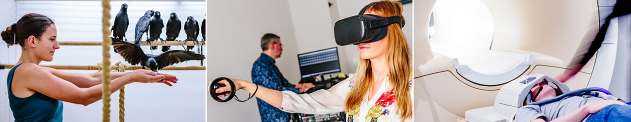 The header image of the website shows a collage of three snapshots from everyday research at the RDN: A researcher holding a jackdaw in her hand. Two scientists testing virtual reality glasses with a matching controller. Two people during an MRI examination with a scanner visible in the background.