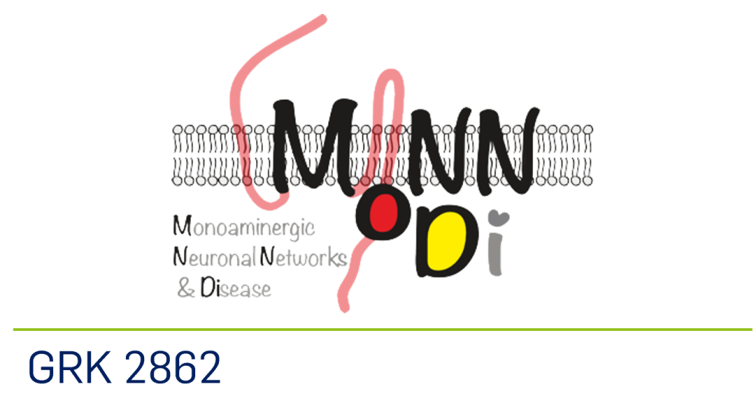 Schaltfläche, um zu mehr Informationen zu Research Training Group 2862 Monoaminergic Networks & Disease (kurz MoNN&Di) zu erhalten. Logo der Research Training Group MoNN&Di.