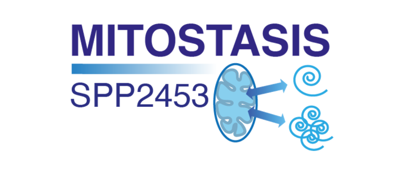 Logo des SPP2453.