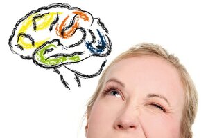 Alternativtext de Brain Day 2023 © SFB 874